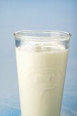 Frische Milch im Glas; blauer Hintergrund