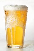 Light beer frothing over in a glass