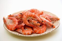 Shrimps on plate