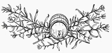 Tarragon with wooden barrel (Illustration)