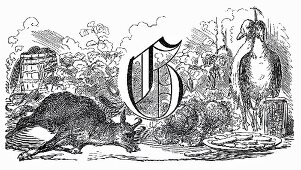 Still life: letter G, goat, geese, greens (Illustration)