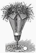 Napkin with flowers (Illustration)