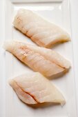 Redfish fillets