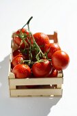 Cherry tomatoes in crate