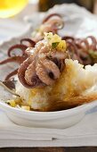 Octopus in olive oil with white bread