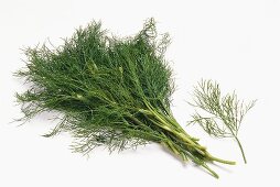 A bunch and a sprig of fresh dill