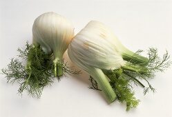 Two fennel bulbs with leaves