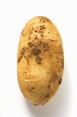 A potato with soil