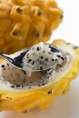 Spooning out pitahaya flesh