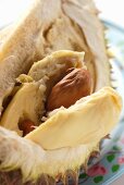 Durian (Detail vom Fruchtfleisch mit Kern)