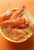 Shrimps in bowl with ice cubes