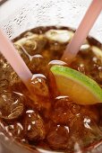 Cola mit Eiswürfeln und Zitrone (Nahaufnahme)