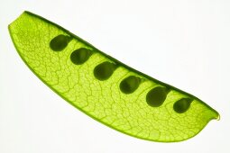 Mangetout with peas, back-lit