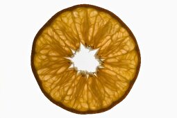 Slice of mandarin, backlit