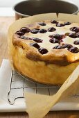 Freshly-baked cherry cake on cake rack