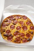 Whole salami and cheese pizza in pizza box