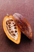 Cacao pod, halved, on brown background