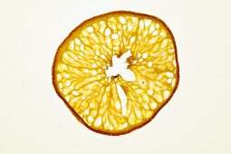 Slice of deep-fried orange, backlit