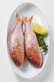 Fresh red mullet with lemon and thyme