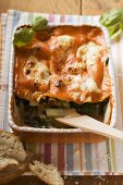 Vegetable lasagne in baking dish