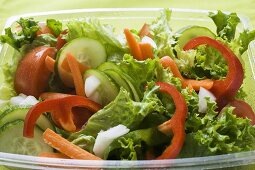 Salad leaves with cucumber, tomato, carrots, peppers to take away