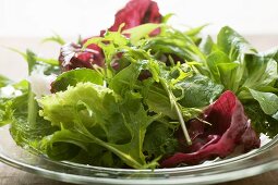 Mixed salad leaves on glass plate