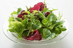 Mixed salad leaves on glass plate