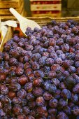 Plums from Styria on a market stall