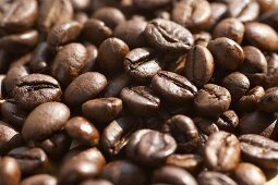 Coffee beans (filling the picture)