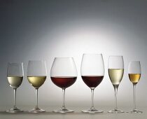 Verschiedene Weinsorten in Gläsern