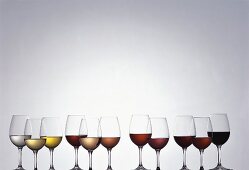 Various types of wine in glasses
