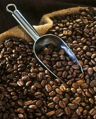 Coffee beans with metal scoop in sack
