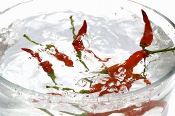 Chillies (variety Thai Red) in a bowl of water