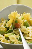 Farfalle with vegetables