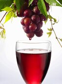 Red wine dripping from grapes into a wine glass