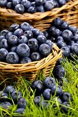 Fresh blueberries in wicker baskets