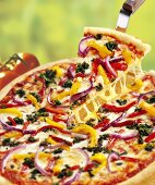 Mediterranean vegetable pizza, one slice on pizza server