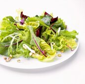 Gemischter Salat mit Smoothie