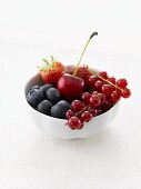 Berries and one cherry in a white china bowl