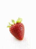 One strawberry on white wooden surface