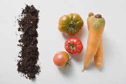 Two carrots, three tomatoes and soil