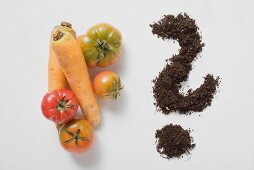 Two carrots, four tomatoes & soil forming a question mark