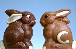 Two chocolate Easter Bunnies