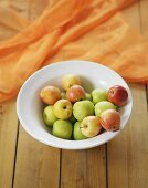 Apples in a bowl