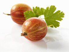 Two gooseberries