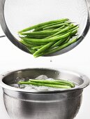 Blanched beans being quenched in iced water