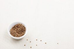 Coriander seeds in a bowl and next to it