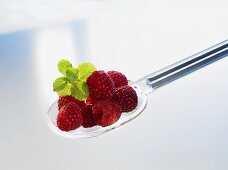 Several raspberries on a plastic spoon