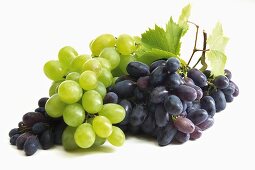 Blaue und grüne Weintrauben