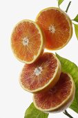 Halved blood oranges, variety 'Tarocco'